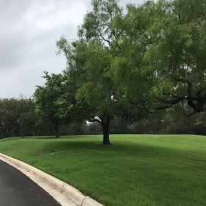 Meet your Posher, Roya